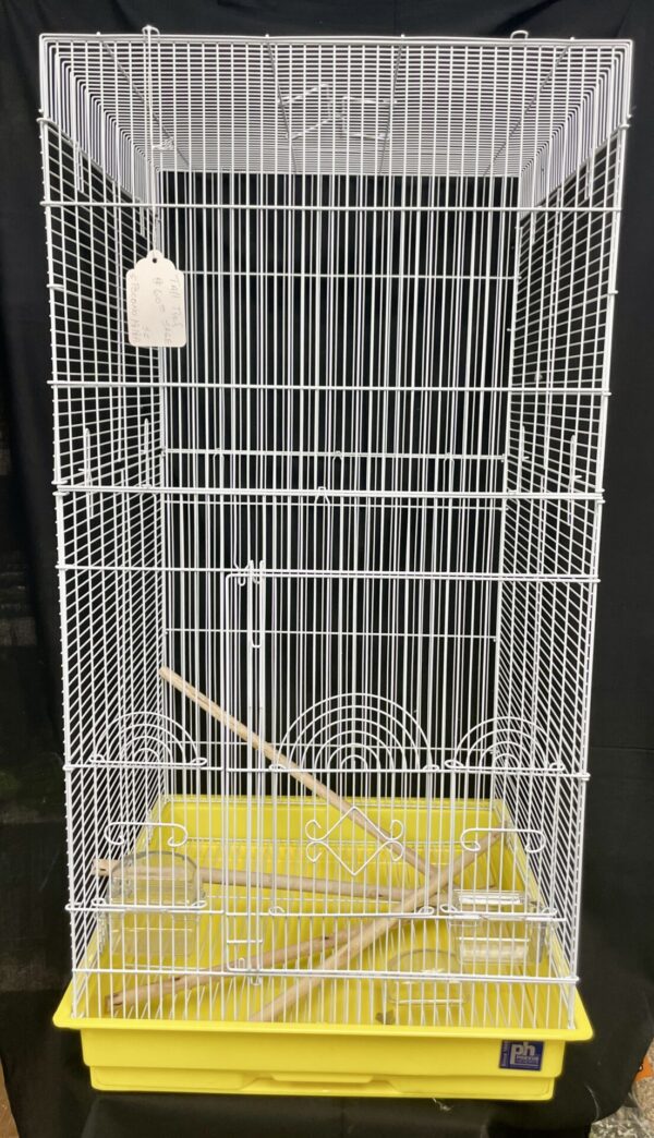 Cage M T Y