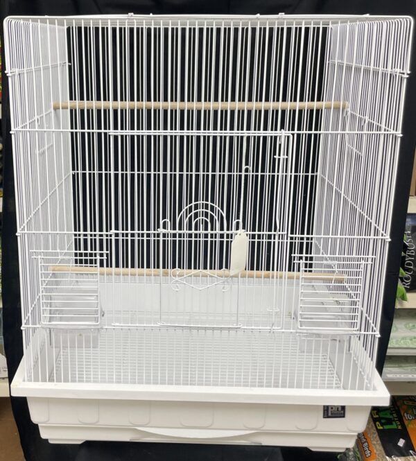 Cage XL W